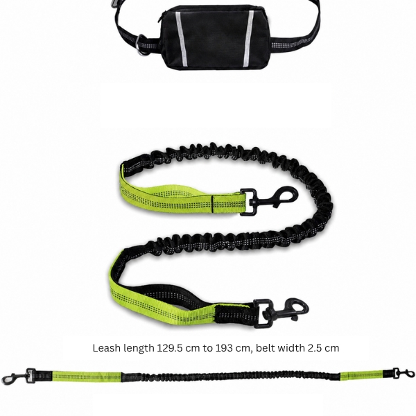 DOGZIP-3831127639294-EN-6554__040526